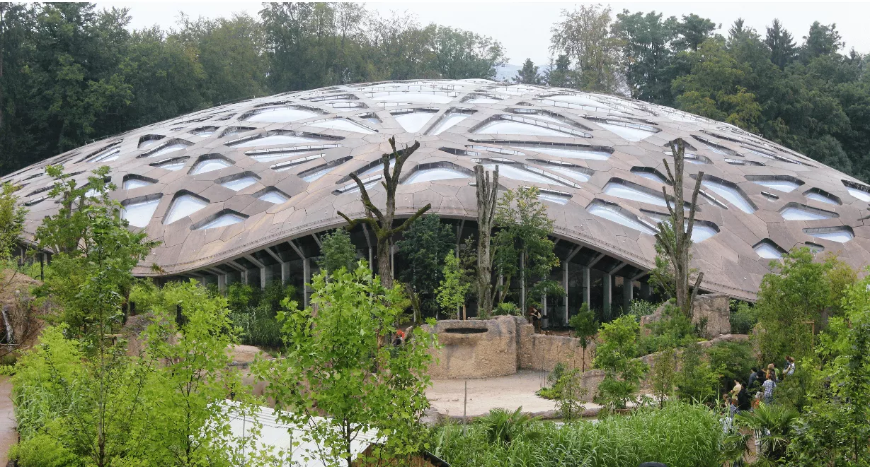 Fantastisch! 4000 m² esb-Platten in der imposanten Hightech-Holzdachkonstruktion des neuen Elefantenhaus im Züricher Zoo