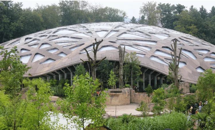 Fantastisch! 4000 m² esb-Platten in der imposanten Hightech-Holzdachkonstruktion des neuen Elefantenhaus im Züricher Zoo