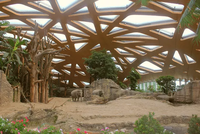 Elefantenhaus zürich esb platte elka Holzwerke